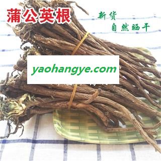 野生蒲公英根新货蒲公英根批发自然晒干产地 甘肃省陇南市宕昌县图1
