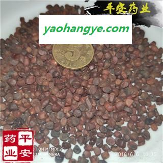 平安药业 马楝子 马蔺子 蠡实 荔实 马楝子 马帚子图1