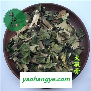 大驳骨 统 产地 广西壮族自治区 买家承图1