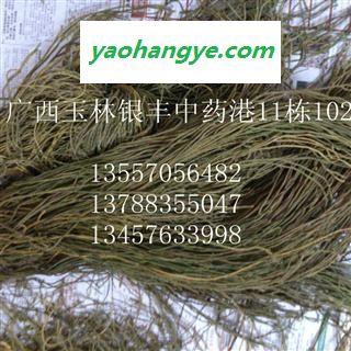 马尾千金草 选货 产地 广西壮族自治区梧州市市辖区 库存 3公斤可售图1