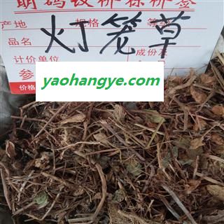 灯笼草，统货 产地 广西壮族自治区贵港市平南县图1
