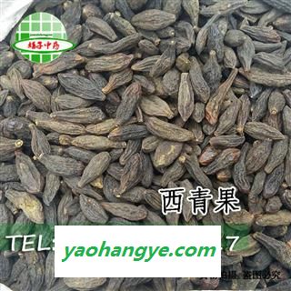 西青果 西青果 统货 产地 广西壮族自治区 娟子中药图1