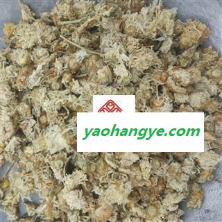 菊花 统 国药堂 专注品质 产地 河北省图1