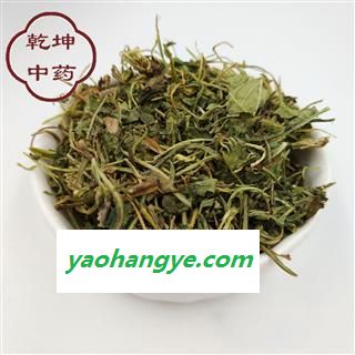 紫花地丁 统货 产地 山西省【品种齐全 诚信经营】图1