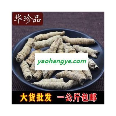 巴戟天 02 巴戟肉 中小肉 产地 广东省肇庆市端州区