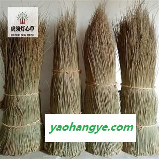 江西科沃灯心草 未抽芯灯心草 灯心草毛草 万亩种植基地直供图1