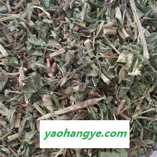 薄荷 薄荷选段大货 产地 山东省菏泽市鄄城县舜王城药市图1