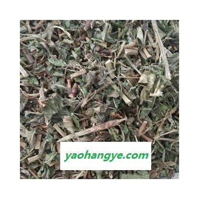 薄荷 薄荷选段大货 产地 山东省菏泽市鄄城县舜王城药市