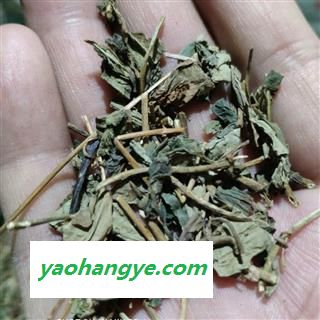 平安药业 肺形草 正品 蝴蝶草 山蝴蝶 金丝蝴蝶图1