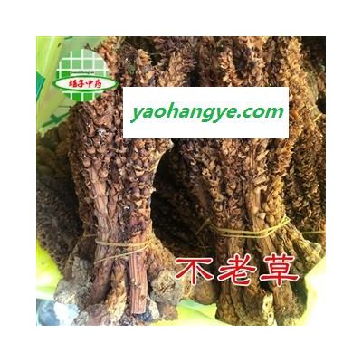 草苁蓉 不老草 草苁蓉大条 大花列当 产地 吉林省 买好药找娟子