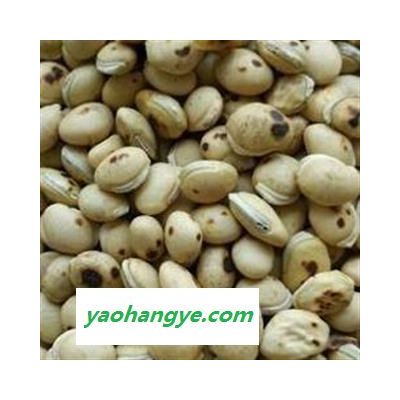 白扁豆 正品炒白扁豆 国药堂 专注品质 选 产地 海外