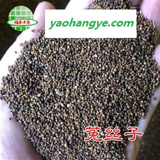 菟丝子 菟丝子过风车统货 产地 内蒙古自治区 买好药找娟子图1