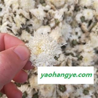 贡菊花 统 产地 安徽省黄山市徽州区  大货批发价图1