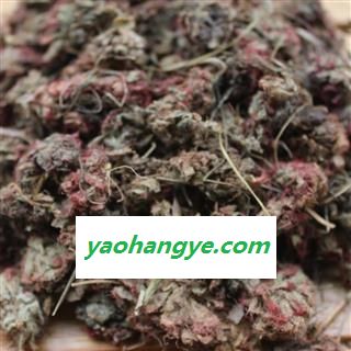 吉康药业 锦地罗怎地罗 落地金钱 金钱吊芙蓉 一朵芙蓉花图1