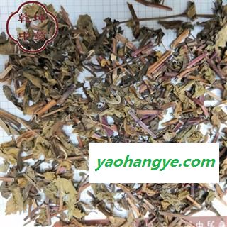 薄荷 无硫 高含量  野生段 干净 味浓 产地 四川省【品种齐全 诚信经营】图1
