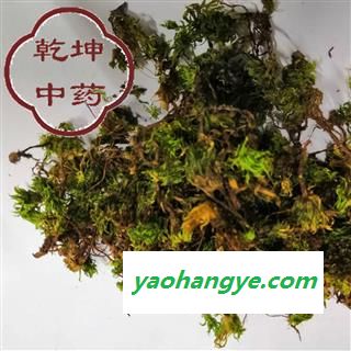 回心草 选货 产地 云南省【品种齐全 诚信经营】图1