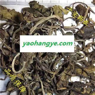 平安药业 杜衡 马辛 南细辛 马蹄香 马蹄细辛 促销图1