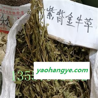 金牛草图1