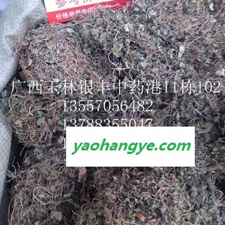 马蹄金 统货 产地 广西壮族自治区柳州市柳城县图1