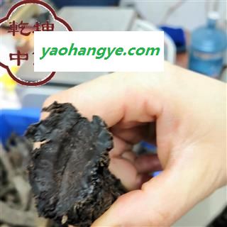 肉苁蓉 特级，油苁蓉，含量超高 产地 内蒙古自治区【诚信经营 品种齐全】图1