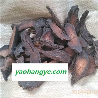 肉苁蓉 硬大芸统片 干度好 产地 新疆维吾尔自治区图1