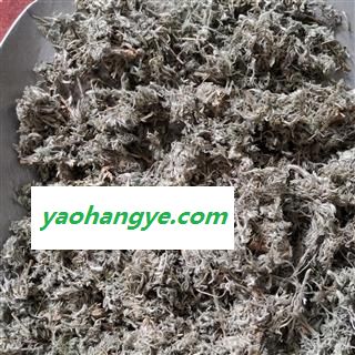 茵陈 绵茵陈 茵陈片，绵茵陈片，灰白色统段 产地 河南省图1