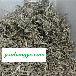 荆芥，全荆芥 ，全棵荆芥切段，带穗荆芥， 产地 河南省许昌市图1