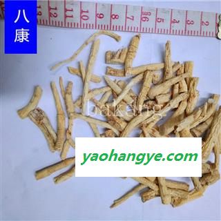 西洋参 细01段 统图1