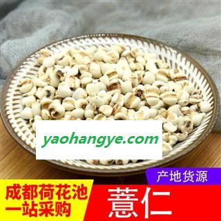 【99包邮】薏苡仁 98米小薏苡仁新货 味道好 【良心经营 品种齐全】图1