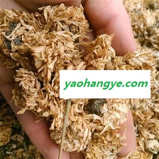 菊花 无硫选装亳菊花 产地 安徽省图1