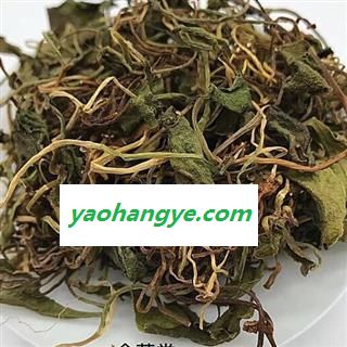 吉康药业一支箭 青藤 蛇咬子 瓶尔小草产地福建新货颜色好图1