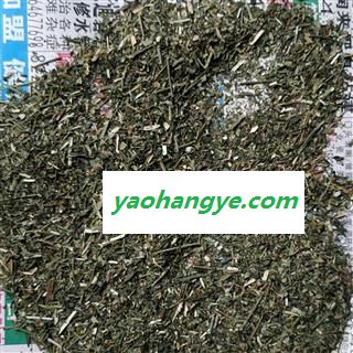 穿心莲，穿心莲叶， 统货，叶子， 产地 广西壮族自治区图1