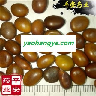 平安药业 皂角子 皂角米 优质 促销图1