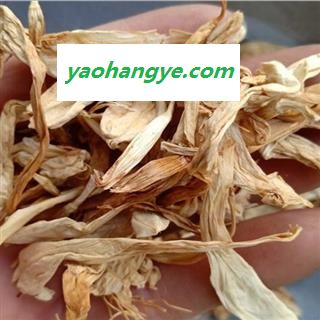玉簪花 玉簪花统货  产地 河北省中药材批发零售大全图1