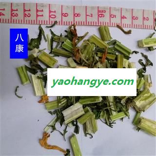 益母草 01统图1