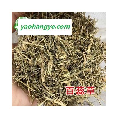 百蕊草  百乳草、小草、细须草、青龙草 段 百蕊草统货 产地 河北省邢台市