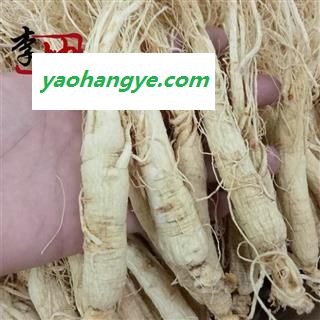 【人参特惠】人参 散称45支左右无硫（500g）吉林产  颜色好 肉质饱满 42-48支 白参【良心经营 品种齐全】图1