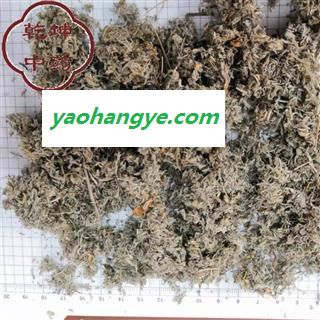 茵陈 新货  净货  好统 产地 甘肃省【品种齐全 诚信经营】图1