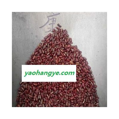 赤小豆 扁粒 统