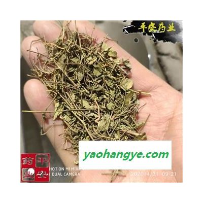 平安药业 瓜子金 正品 批发各种冷背药材 辰砂草 金锁匙 瓜子草 挂米草 高脚瓜子草 产后草