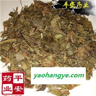 平安药业 蛇含草 别称 蛇衔 五匹风 威蛇 小龙牙 紫背龙牙 紫背草 蛇含委陵菜图1