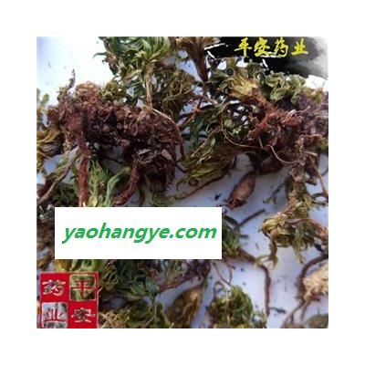 平安药业 回心草 野正品 茴心草 大叶藓岩谷伞 大叶藓铁脚