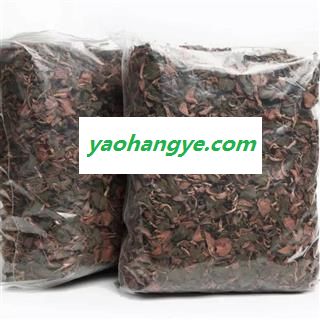 吉康药业金线莲 红霞金线莲 新货全株颜色好图1