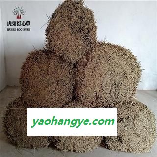 江西科沃灯心草 灯心草毛草 蔺草 万亩种植基地直供图1