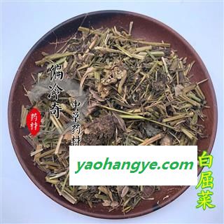 白屈菜 山黄连 牛金花 小野人血草 八步紧 大炮夜 野蔓图1