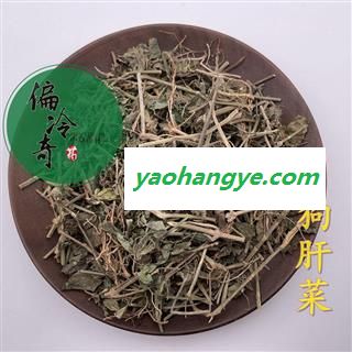 狗肝菜 金龙棒 猪肝菜 野辣椒 四籽马蓝 统 产地 广西壮族自治区贵港市平南县图1