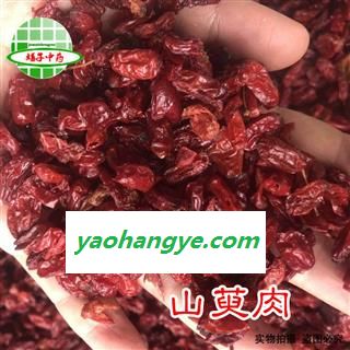 山萸肉 山茱萸一级 山茱萸 枣皮  产地 河南省 买好药找娟子 专业批发图1