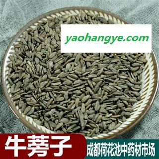 四川 牛蒡子 选货1公斤起批 大力子 产地直供图1