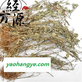 韩信草TD 耳挖草、金茶匙、牙刷草 韩信草统货 产地 广西壮族自治区图1