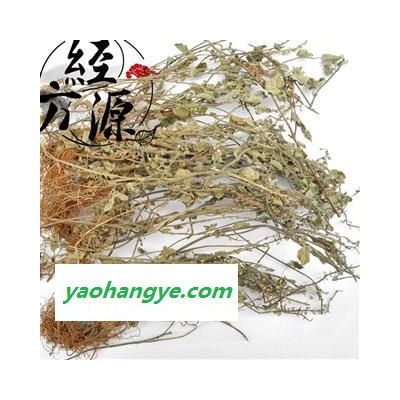 韩信草TD 耳挖草、金茶匙、牙刷草 韩信草统货 产地 广西壮族自治区